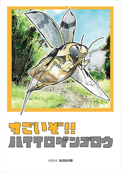 同人誌 シャッツキステ ゲンゴロウ 昆虫 箱庭動物園 安斉俊