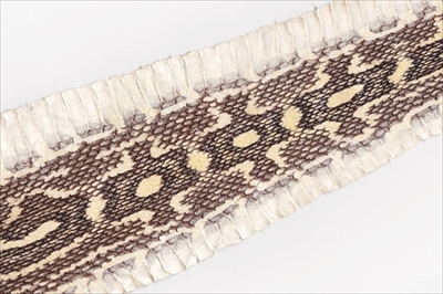 ハブのマスキングテープ