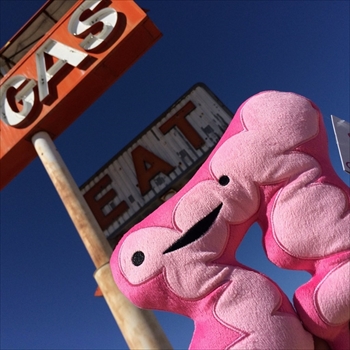 臓器ぬいぐるみ