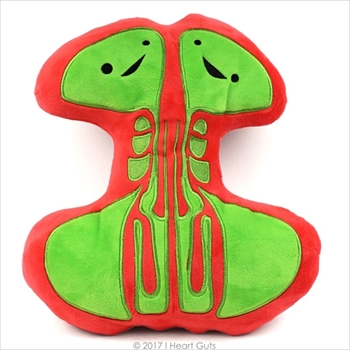 臓器ぬいぐるみ