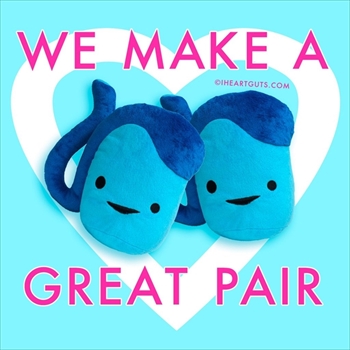 臓器ぬいぐるみ