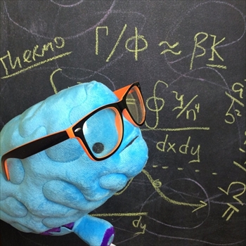 臓器ぬいぐるみ