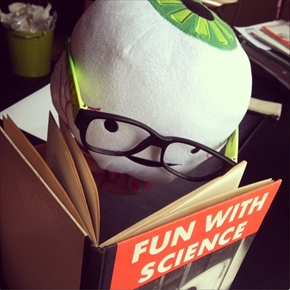 臓器ぬいぐるみ