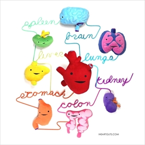 臓器ぬいぐるみ