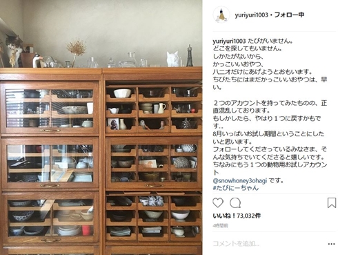 石田ゆり子 ハニオ タビ みっつ はっち 猫 雪