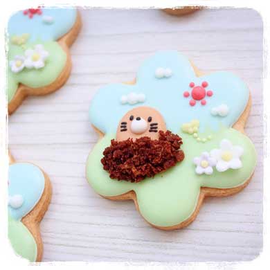 アイシングクッキー 妹 金魚鉢 飴細工 かわいい