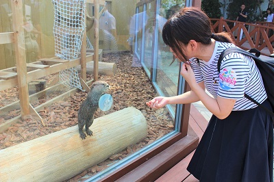 カワウソ握手会