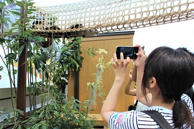 カワウソ握手会