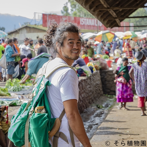 バオバブ 星の王子さま 西畠