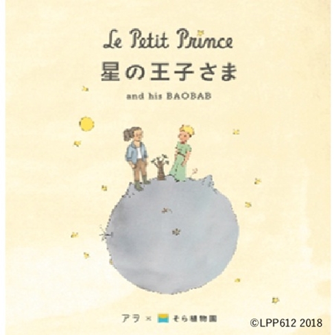 銀座ソニーパーク、『星の王子さま』バオバブの苗木の販売終了を発表