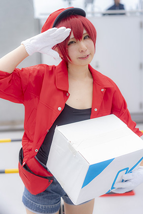 コミケ 夏コミ コスプレイヤー ニコニコ動画 アニメ 漫画