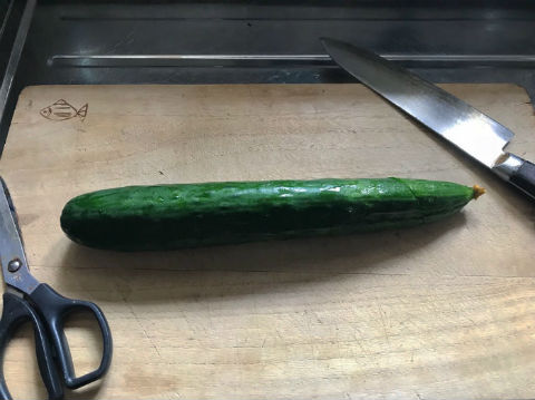 精霊馬 ドラゴン