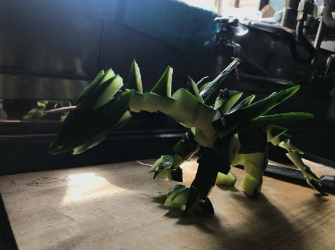 精霊馬 ドラゴン