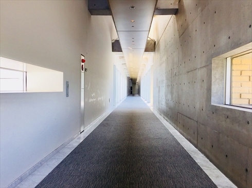 欅坂46 アンビバレント