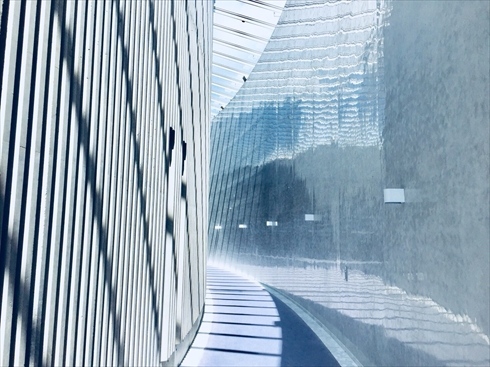 欅坂46 アンビバレント