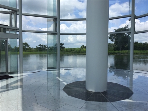 欅坂46 アンビバレント