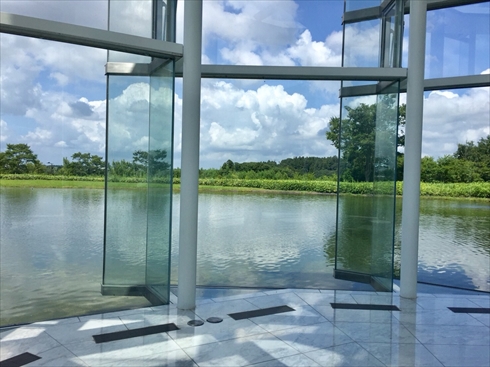 欅坂46 アンビバレント