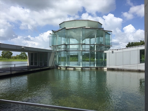 欅坂46 アンビバレント