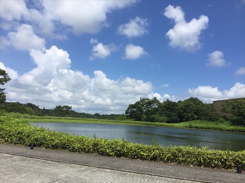 欅坂46 アンビバレント