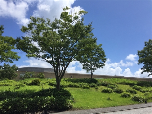 欅坂46 アンビバレント