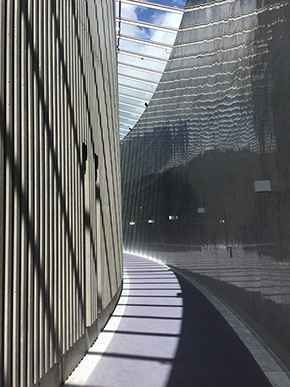 欅坂46 アンビバレント