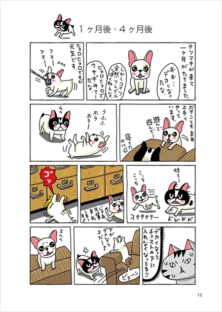 タツマキボタン