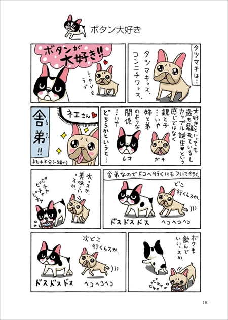 タツマキボタン