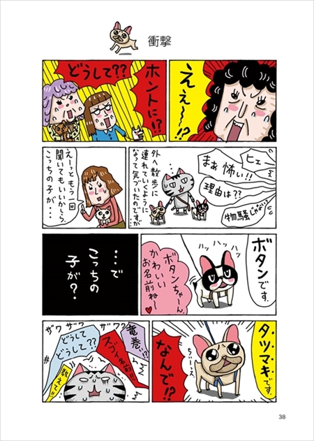 タツマキボタン