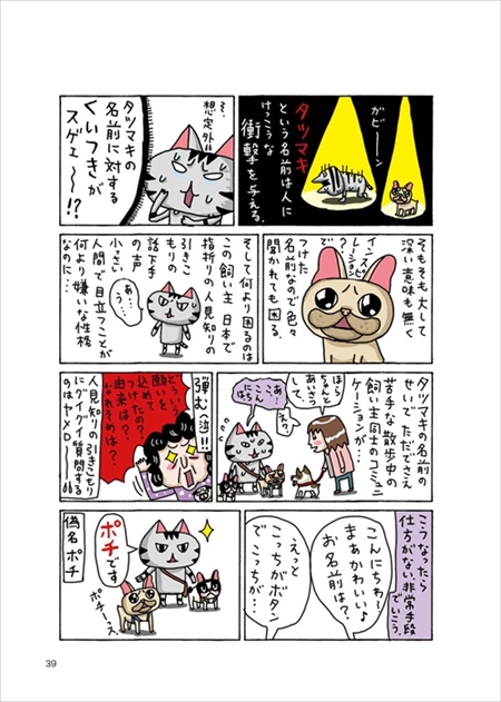 タツマキボタン