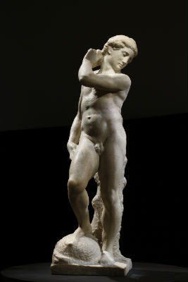 ダヴィデ＝アポロ