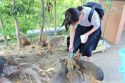 カワウソ握手会