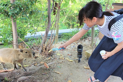 カワウソ握手会