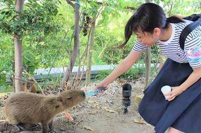 カワウソ握手会