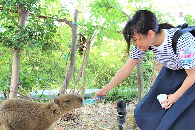 カワウソ握手会