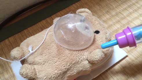 子ども クマ 緊急手術 ごっこ 腫瘍 摘出 再現 発想