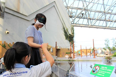 ピラニア水中フィーディング