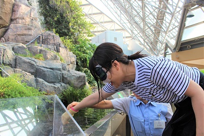 ピラニア水中フィーディング