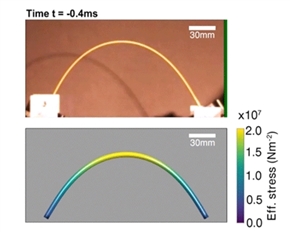 MIT、スパゲティを半分に折る方法を発見　3つ以上に折れる理由の判明から13年を経て