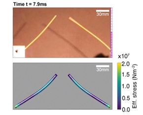 MIT、スパゲティを半分に折る方法を発見　3つ以上に折れる理由の判明から13年を経て