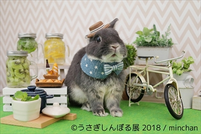 うさぎしんぼる展