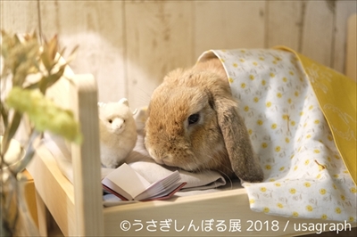 うさぎしんぼる展