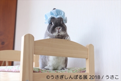 うさぎしんぼる展