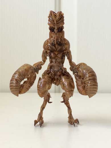 蝉 抜け殻 バルタン星人