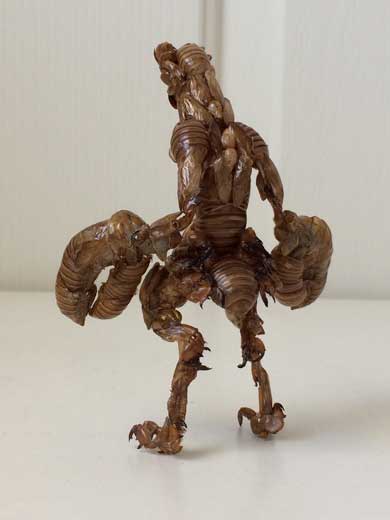 蝉 抜け殻 バルタン星人