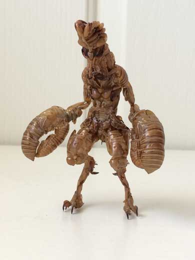 蝉 抜け殻 バルタン星人