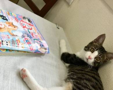 銀河鉄道の夜 うにとモズ