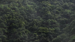 久大本線 全線復旧 ゆふいんの森