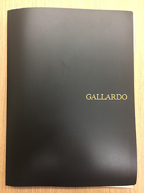 スルガ銀行 スルガスキーム 不正融資 ガヤルド スマートデイズ スマートライフ かぼちゃの馬車 ゴールデンゲイン サクト