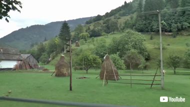 トロッコ ミニバン フォード ルーマニア 魔改造