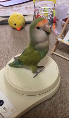 ピーチューさん